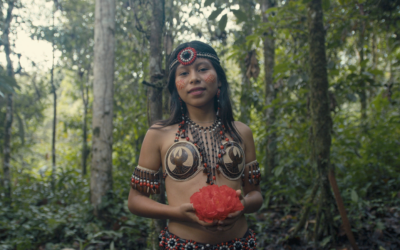 Voices of the Jungle